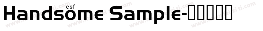 Handsome Sample字体转换